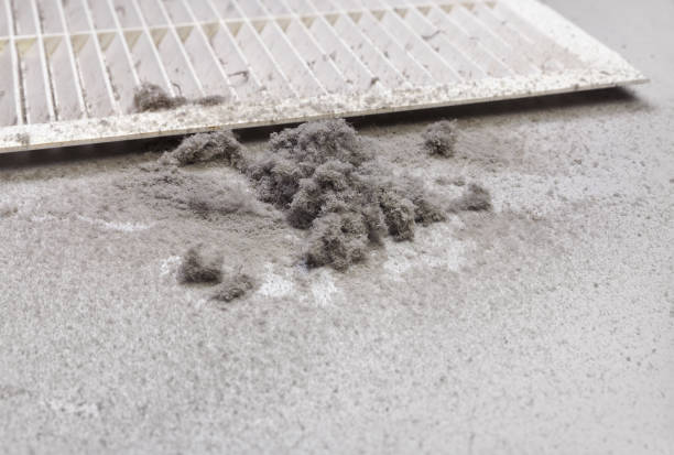 Best Best Air Duct Cleaning Near Me  in Vcennes, IN