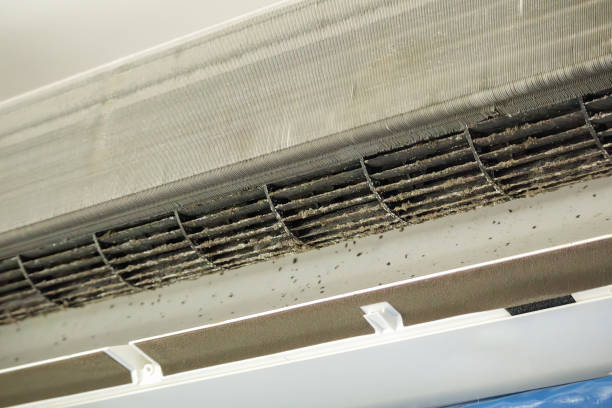 Best Air Quality Test  in Vcennes, IN