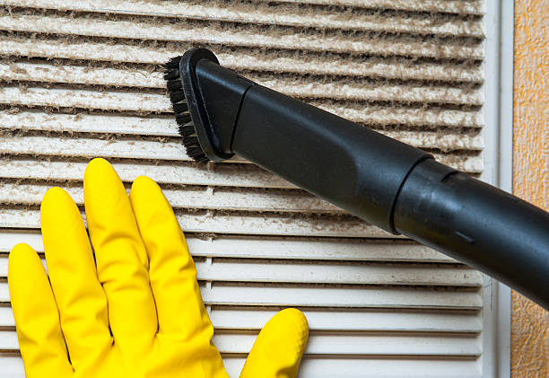 Air Duct Mold Removal in Vincennes, IN